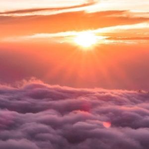 Meet your Posher, George